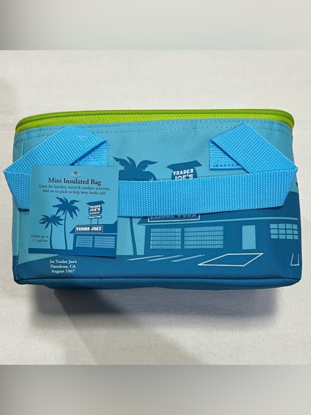 Insulated Lunch Bag - Teal